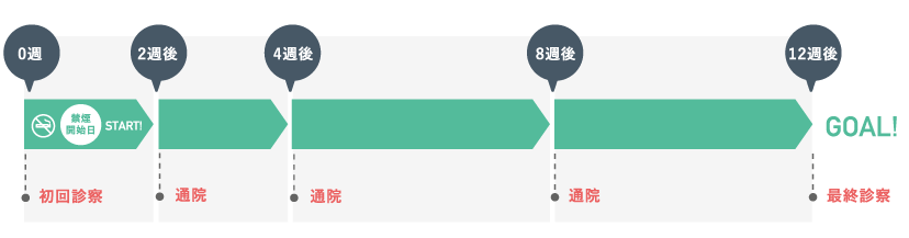 診察スケジュールイメージ図